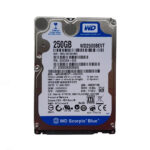 Western Digital 250GB Laptop Hard Disk Drive (HDD)